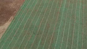 SOIL SAVERS 5
